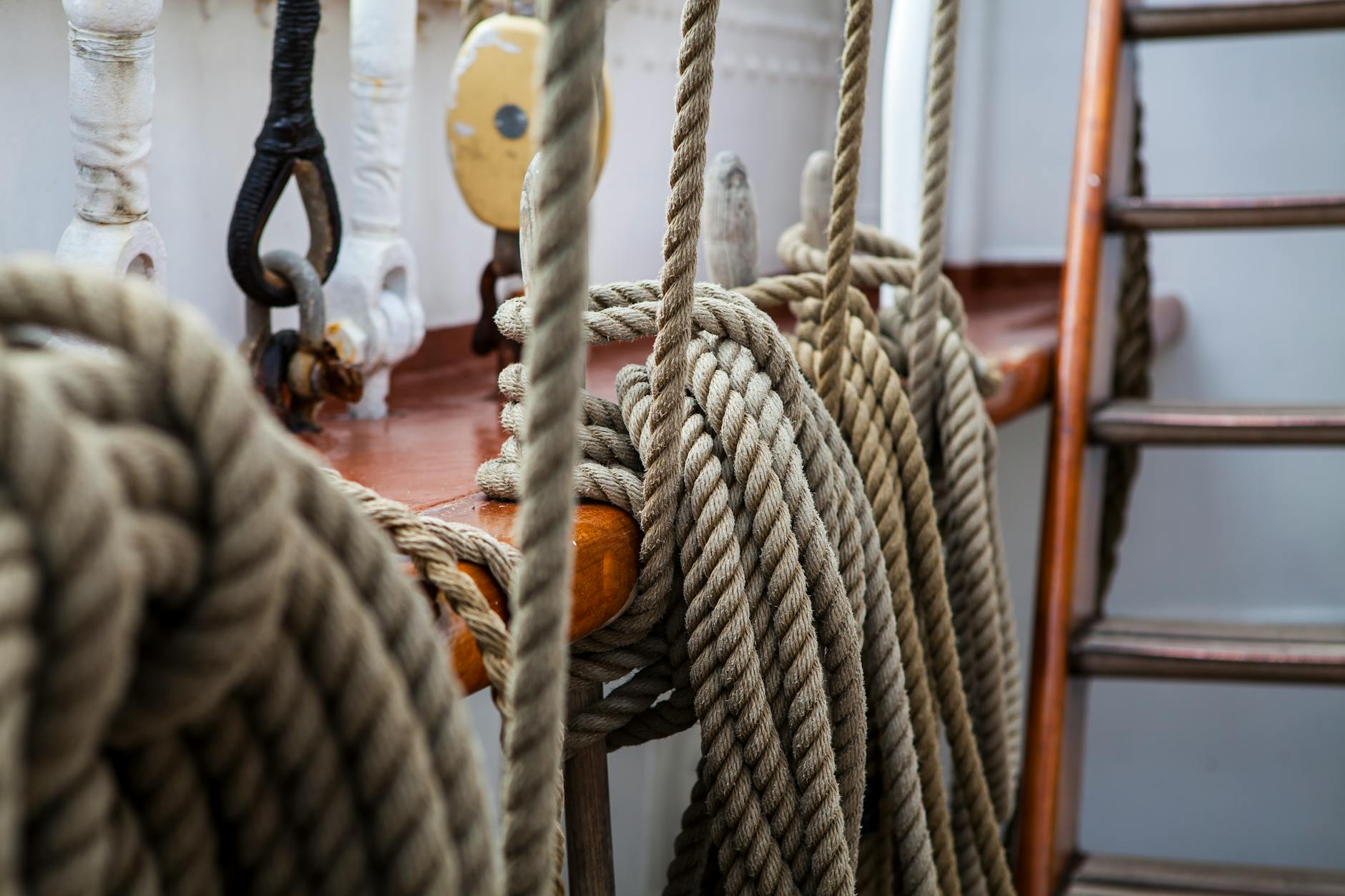 close up photo of rope